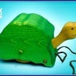 1-Toby-Turtle