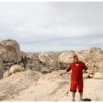 ...in Joshua Tree National Park, Mojave Desert