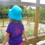 ...at the Cincinnati Zoo